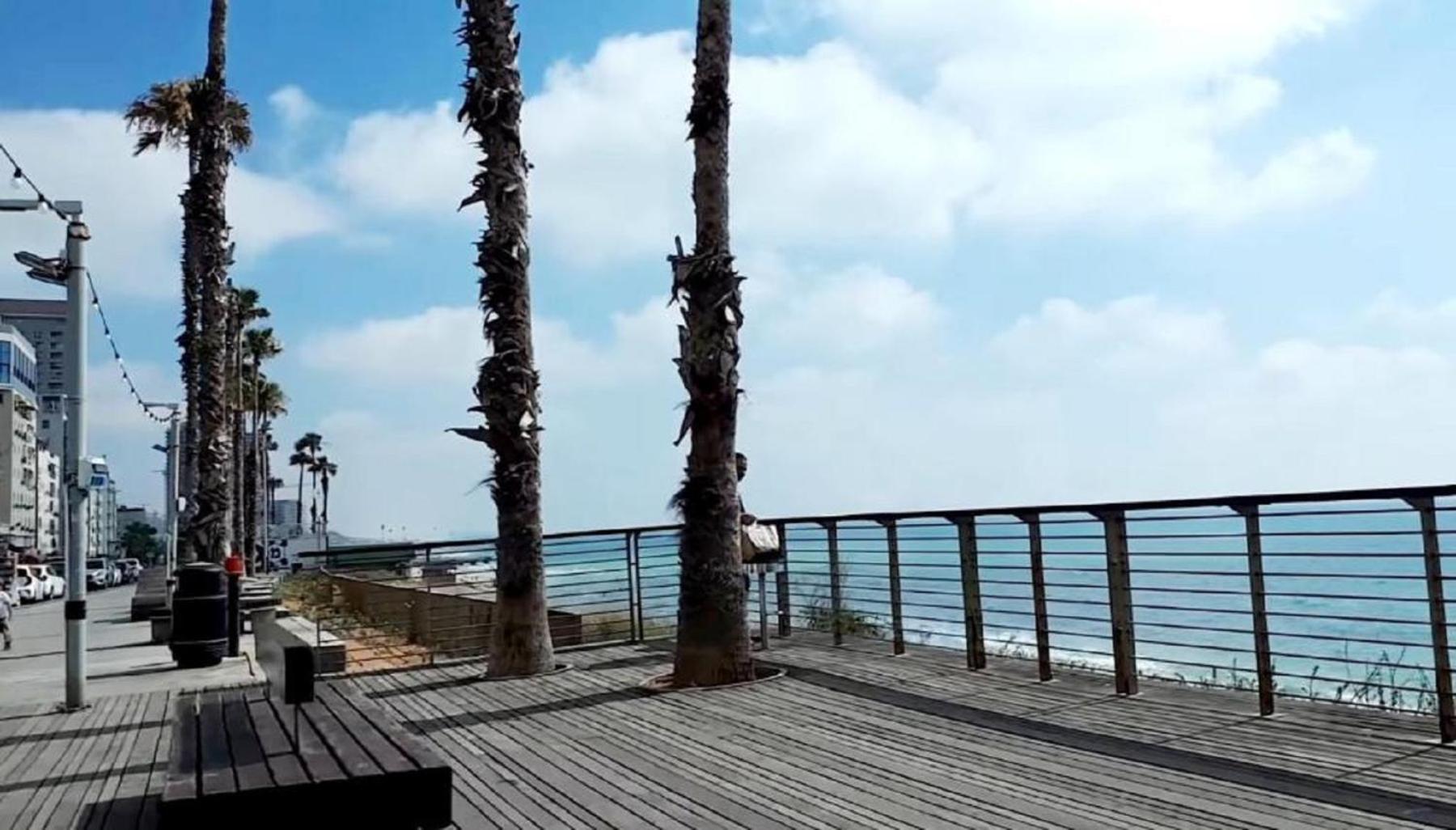 Spat Beach Bat Yam Dış mekan fotoğraf